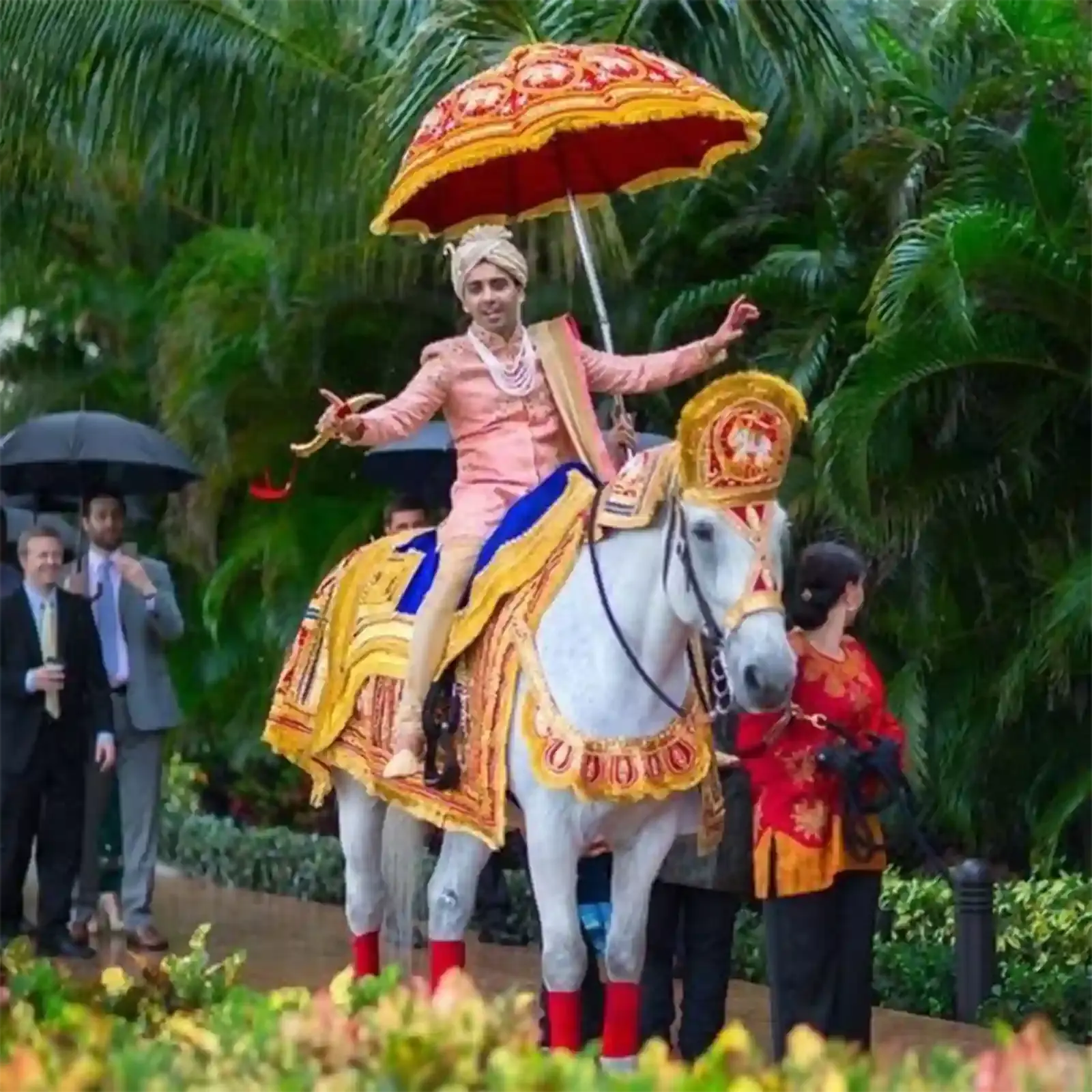Ghodi for Groom Entry